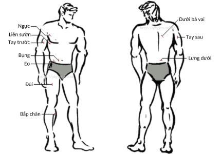 https://ptgym.online/public/images/bfp/bfp_full.png