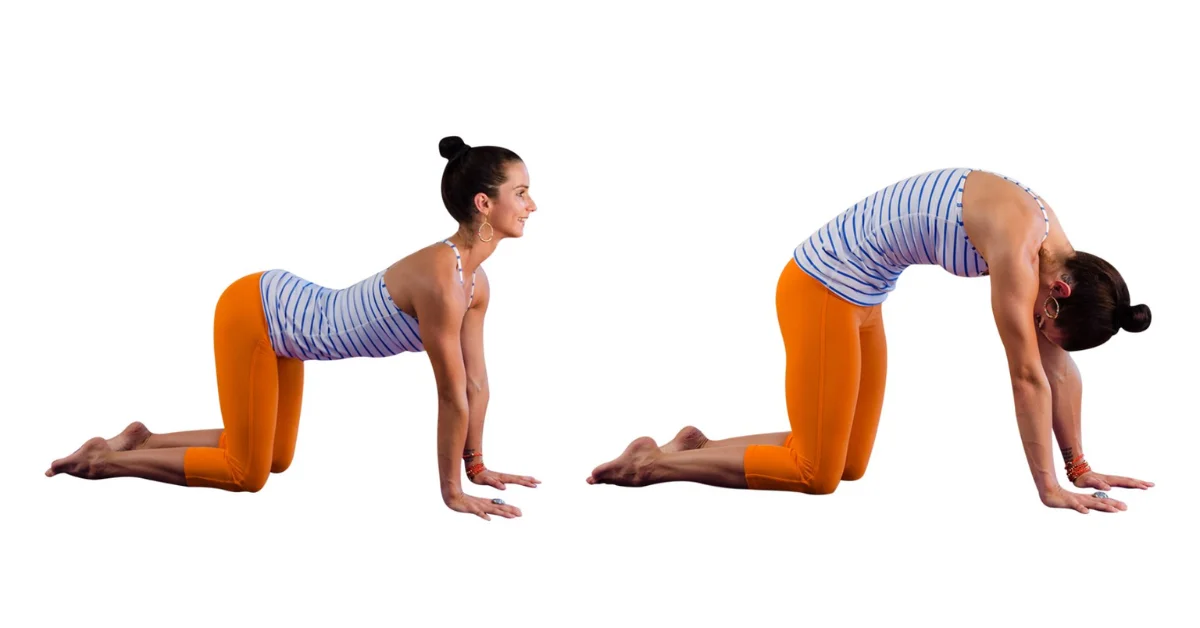 Tư thế Mèo - Bò (Cat-Cow Pose)