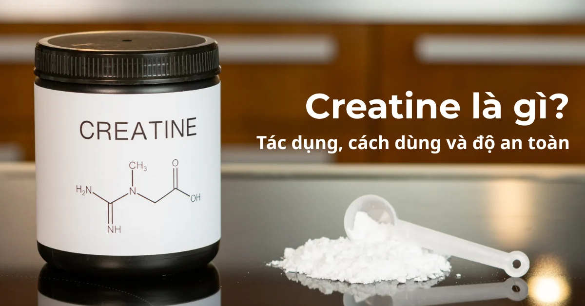 Creatine là gì? Tác dụng, cách dùng và độ an toàn của creatine