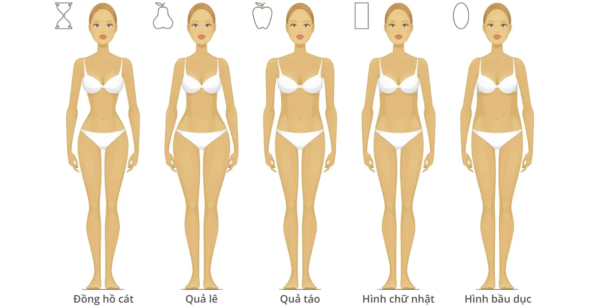 Các loại hình dáng cơ thể Nữ - theo tỉ lệ cơ thể