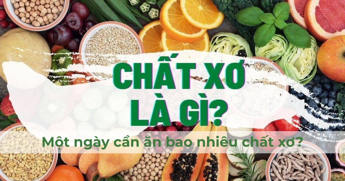 Chất xơ là gì? Một ngày cần ăn bao nhiêu chất xơ?