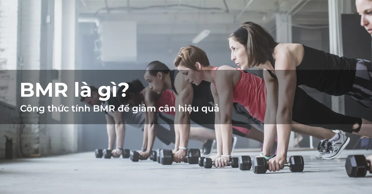 BMR là gì? Công thức tính BMR để giảm cân hiệu quả