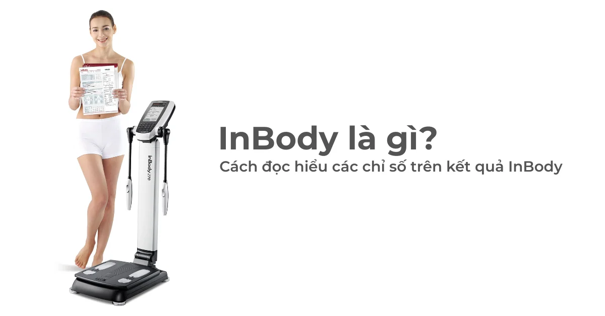 InBody là gì? Cách đọc hiểu các chỉ số trên kết quả InBody
