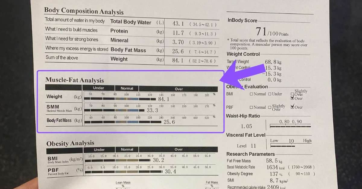 Muscle-Fat Analysis