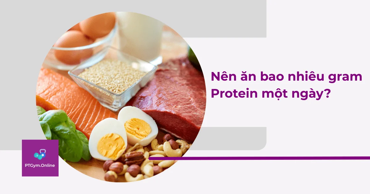 Nên ăn bao nhiêu gram Protein một ngày?