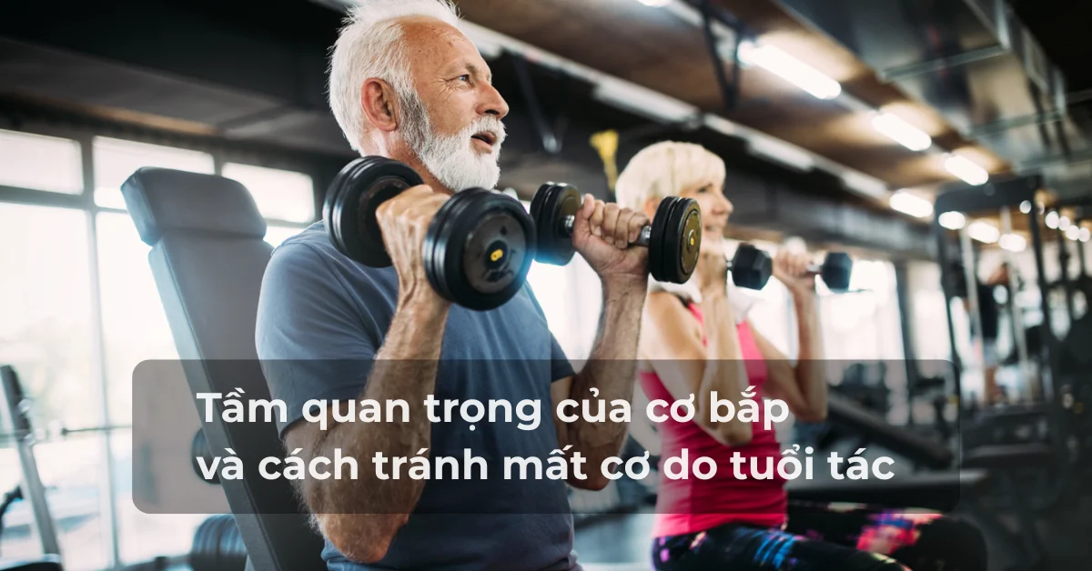 Tầm quan trọng của cơ bắp và cách tránh mất cơ do tuổi tác