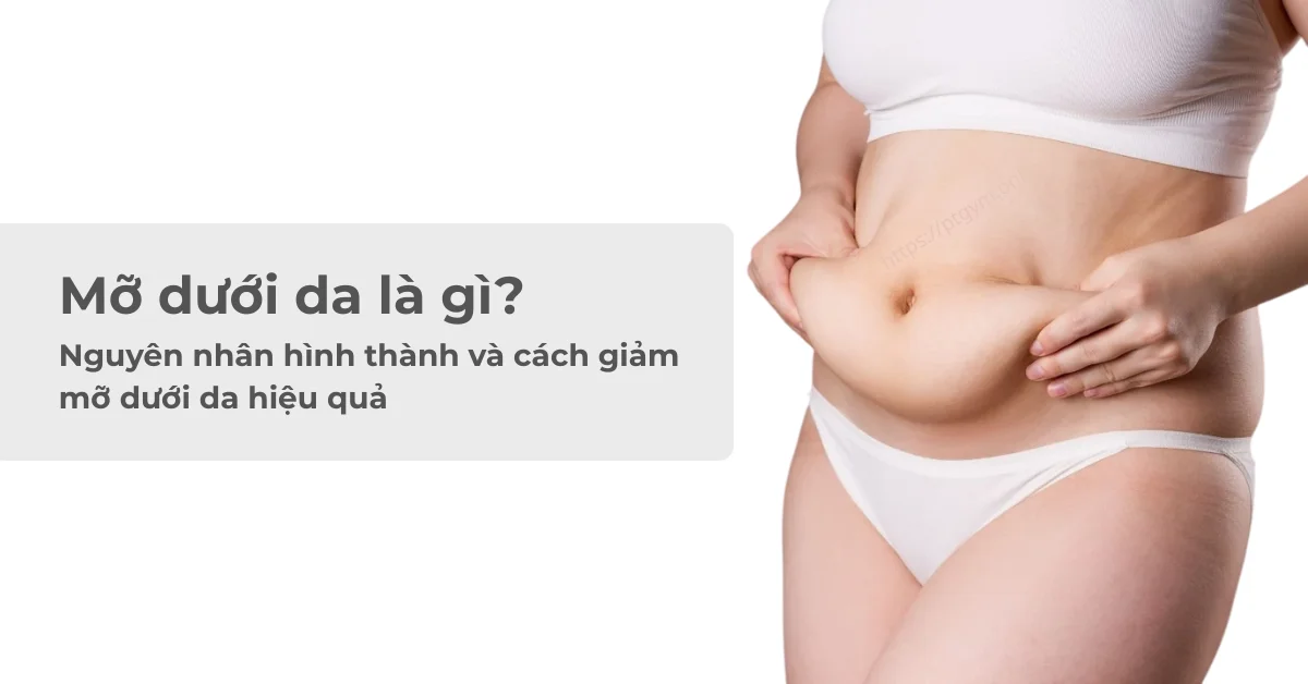 Mỡ dưới da là gì? Nguyên nhân hình thành và cách giảm mỡ dưới da hiệu quả