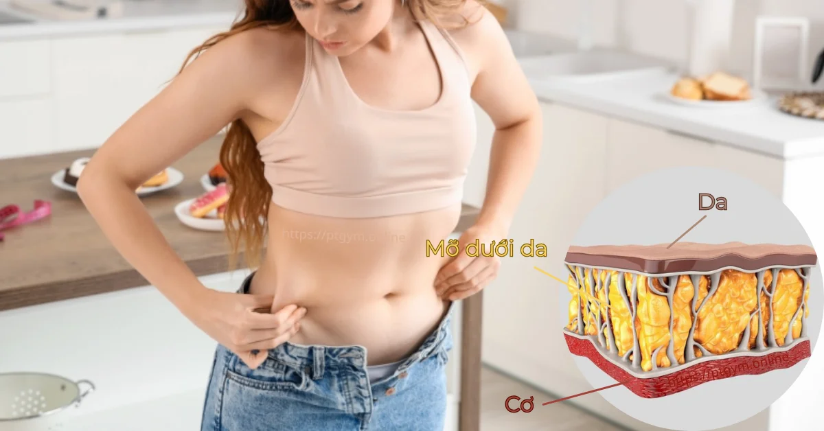 Mỡ dưới da (subcutaneous fat)