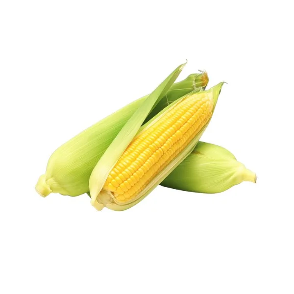 Ảnh calo trong 100g bắp ngọt, ngô ngọt (sweet corn)