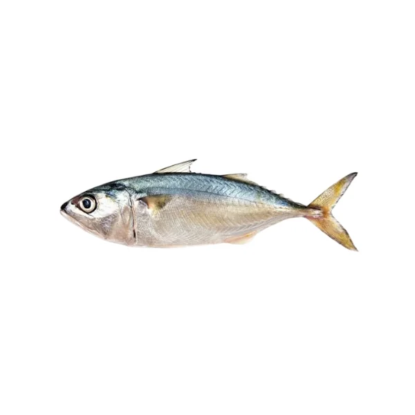 Ảnh calo trong 100g cá bạc má (indian mackerel)