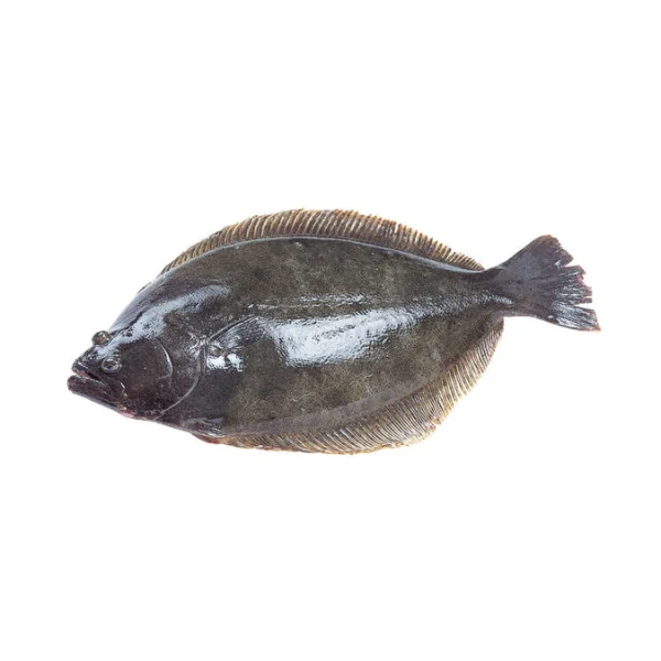 Ảnh calo trong 100g cá bơn (flounder)