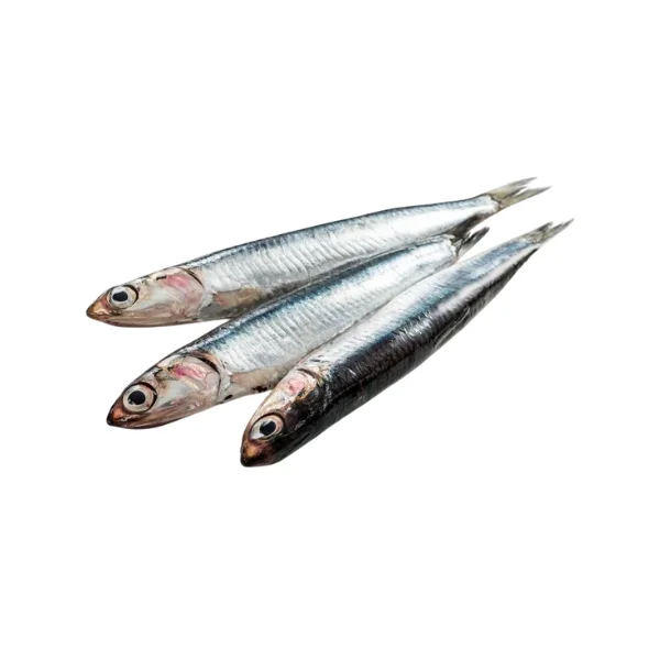 Ảnh calo trong 100g cá cơm (anchovy)