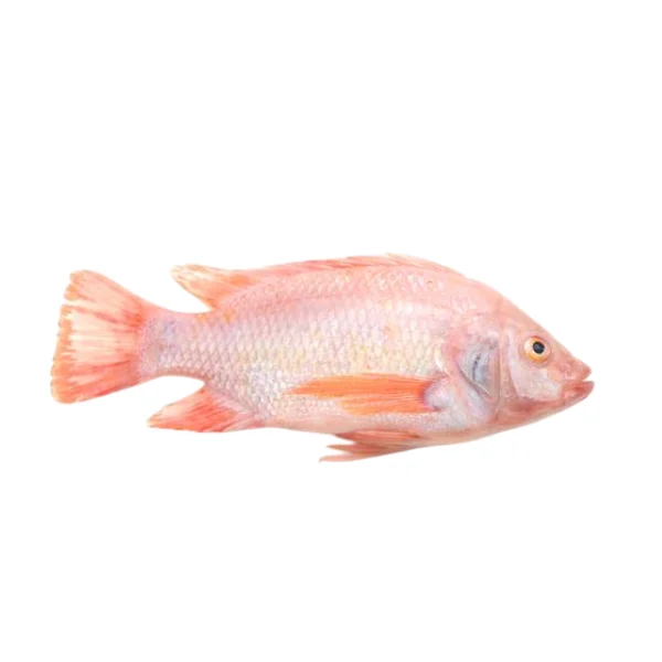 Ảnh calo trong 100g cá diêu hồng (red tilapia)
