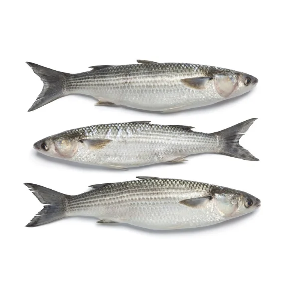 Ảnh calo trong 100g cá đối (mullet)
