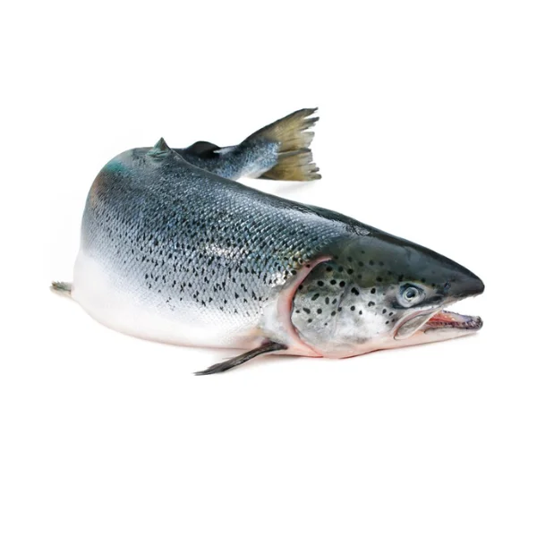 Ảnh calo trong 100g cá hồi (salmon)