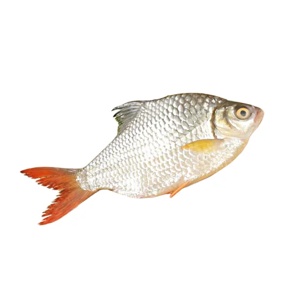 Ảnh calo trong 100g cá mè vinh, cá mè dinh (silver barb)