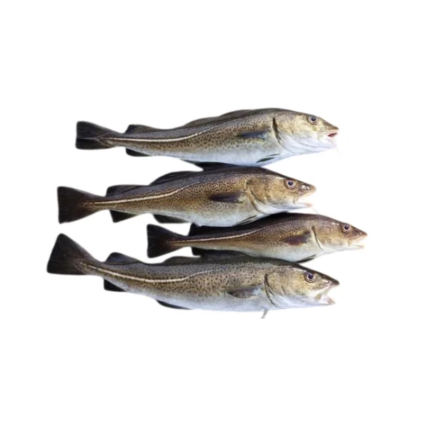 Ảnh calo trong 100g cá minh thái (pollock)
