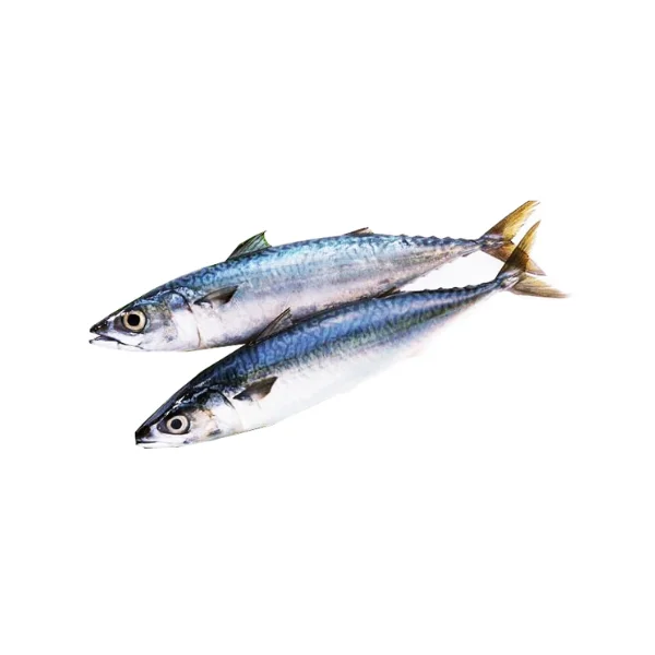 Ảnh calo trong 100g cá thu nhật (saba)