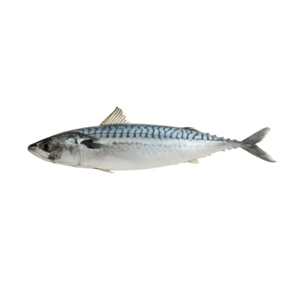 Ảnh calo trong 100g cá thu (mackerel)