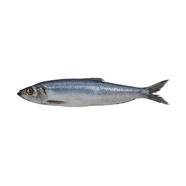 Ảnh calo trong 100g cá trích (herring)