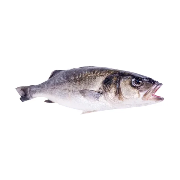 Ảnh calo trong 100g cá vược (sea bass)
