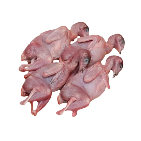 Ảnh calo trong 100g chim cút nguyên con làm sạch (whole dressed quail)
