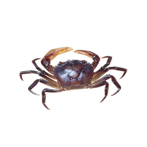 Ảnh calo trong 100g cua đồng (rice-field crab)