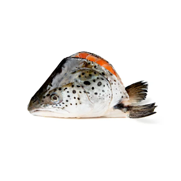 Ảnh calo trong 100g đầu cá hồi (salmon head)