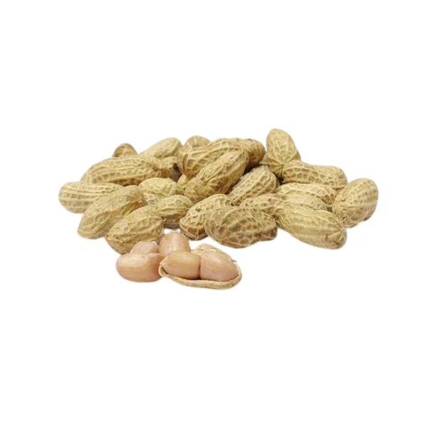 Ảnh calo trong 100g đậu phộng luộc (boiled peanuts)
