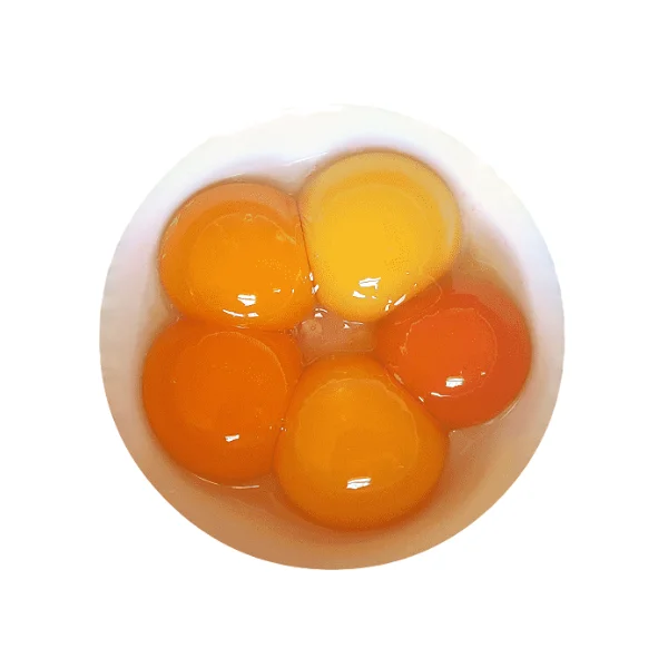 Ảnh calo trong 100g lòng đỏ trứng vịt (duck egg yolk)