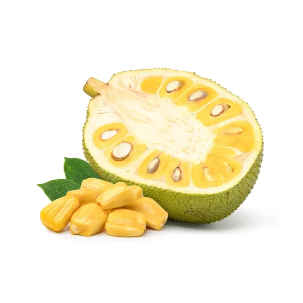 Ảnh calo trong 100g mít (jackfruit)