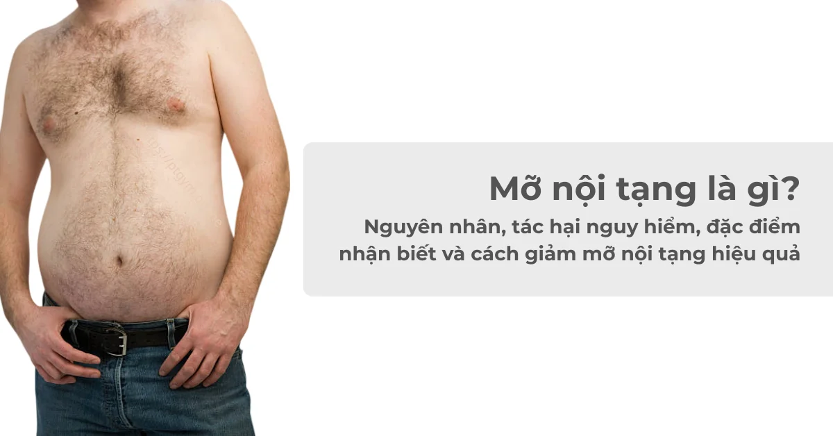 Mỡ nội tạng là gì? Nguyên nhân, tác hại nguy hiểm, đặc điểm nhận biết và cách giảm mỡ nội tạng hiệu quả