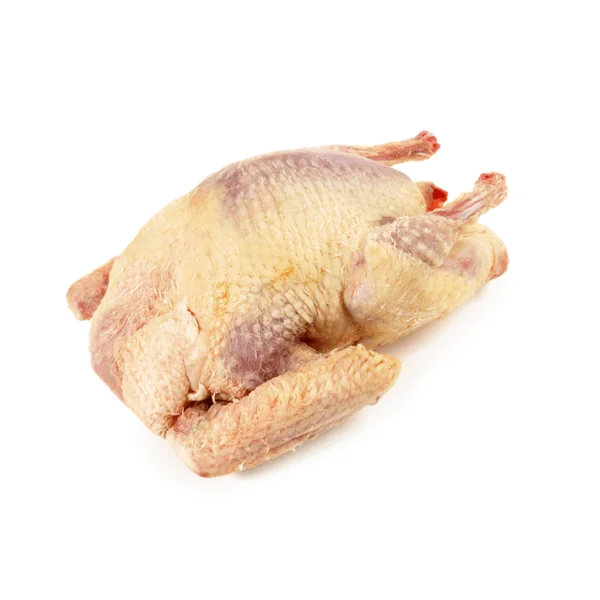 Ảnh calo trong 100g thịt bồ câu (squab)
