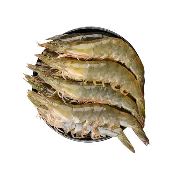 Ảnh calo trong 100g tôm (shrimp)