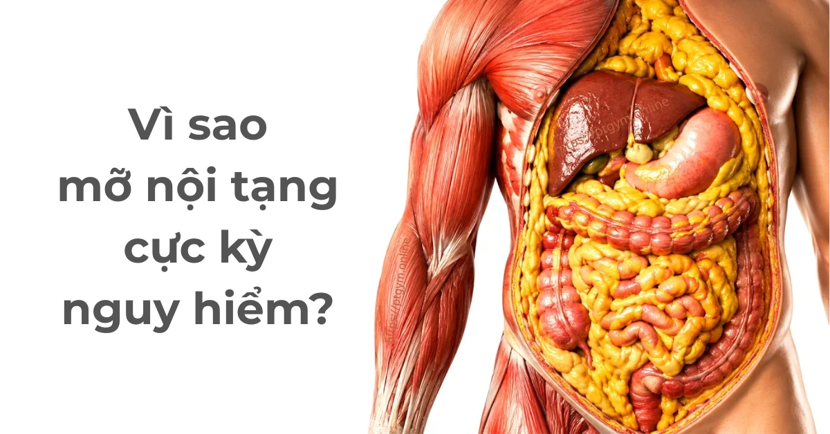 Vì sao mỡ nội tạng cực kỳ nguy hiểm